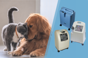 Read more about the article Tlenoterapia zwierząt – jak działa koncentrator tlenu dla psa i kota?